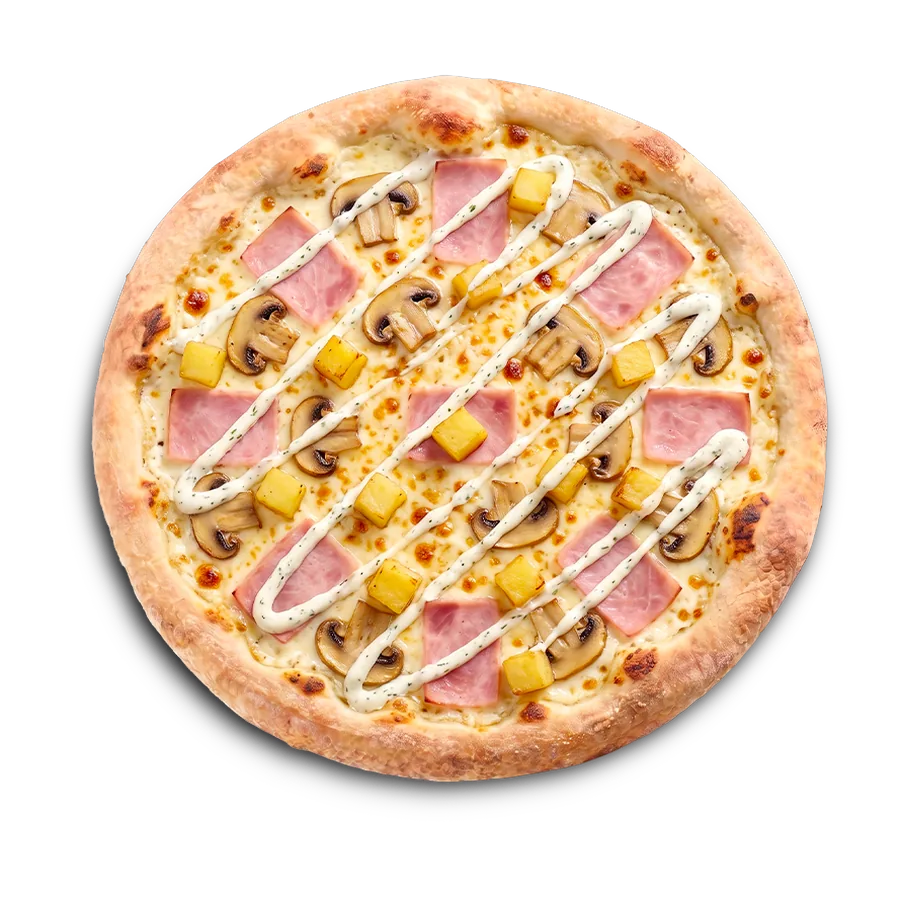 Pizza Pizza Campagnarde Pizza King Gisors