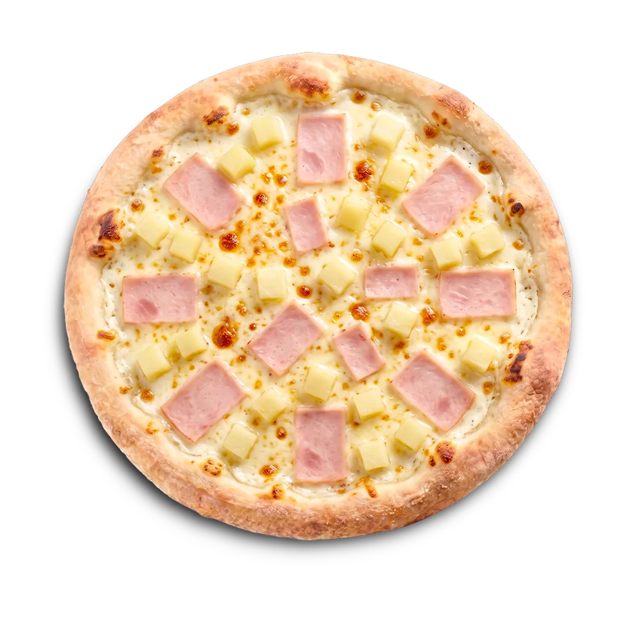 Pizza Chicken Pizza King Gisors